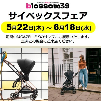 サイベックスフェア開催