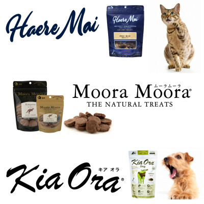 本日開催✨サンプリング会✨