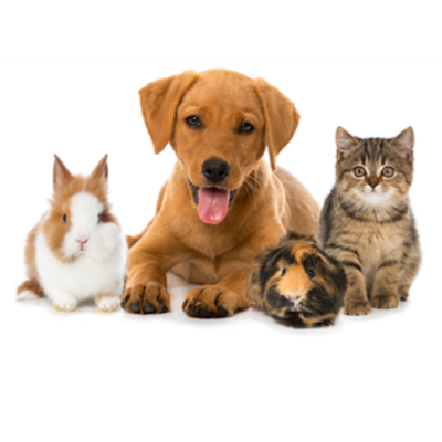 サンプリング会開催決定✨