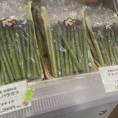 美瑛産アスパラガス　本日再入荷予定です♪