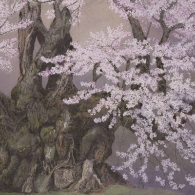 八木天水　桜花展